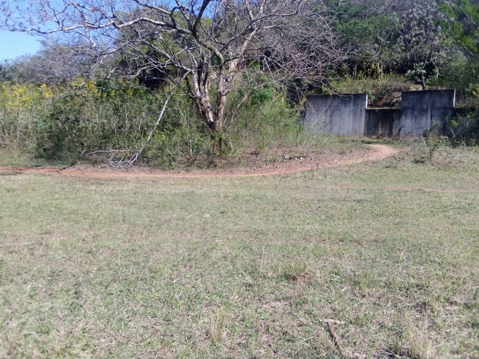 20237 ha Land available in Amanzimtoti photo number 21