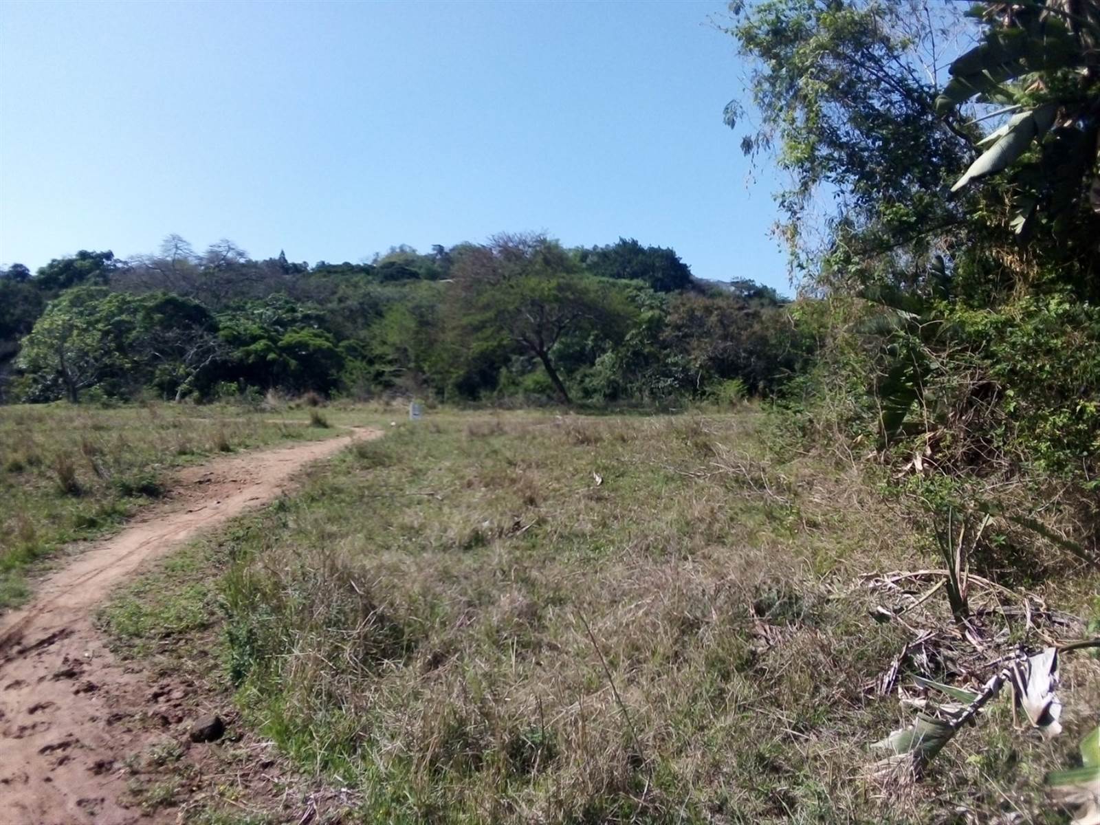 20237 ha Land available in Amanzimtoti photo number 8