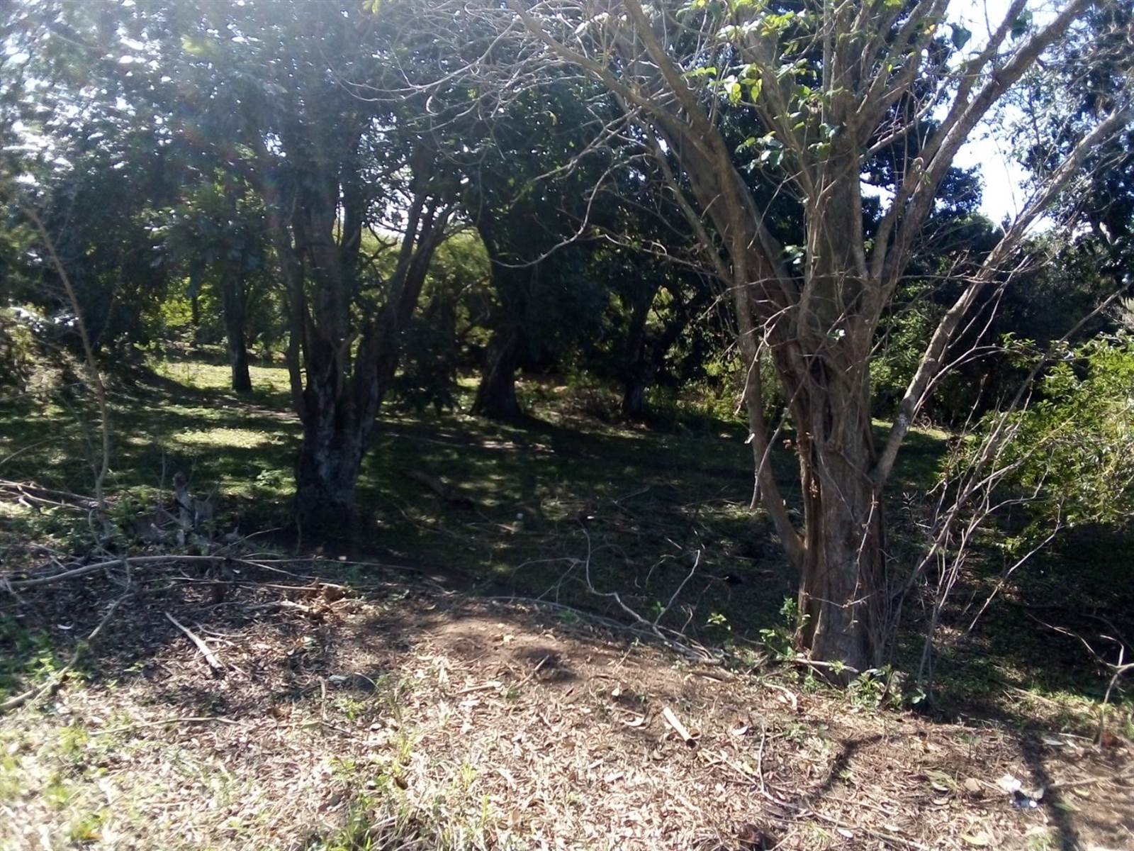 20237 ha Land available in Amanzimtoti photo number 16