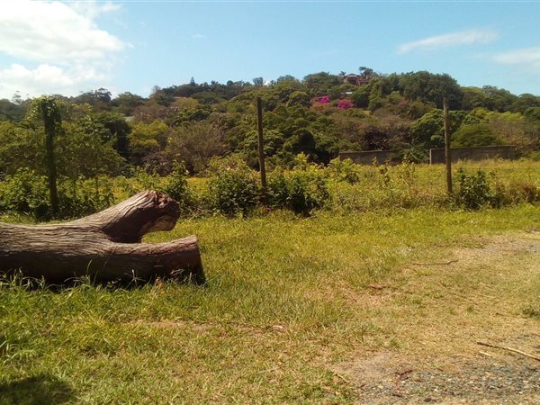 20237 ha Land available in Amanzimtoti