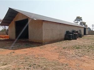 2 ha Farm in Bapsfontein