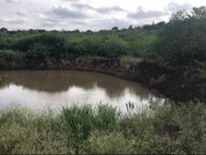 34 ha Farm in Empangeni