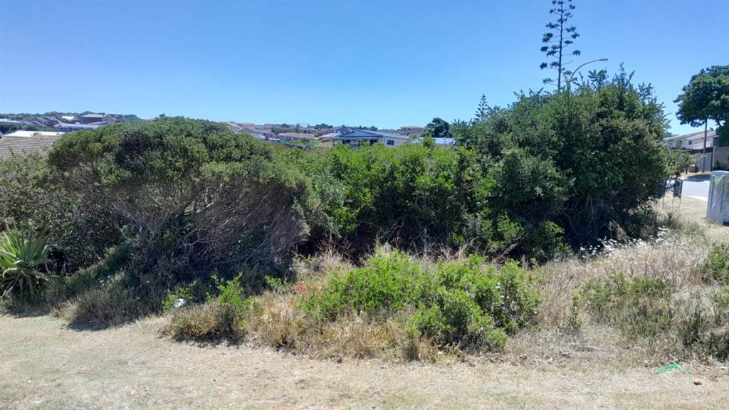 882 m² Land available in Dana Bay photo number 5