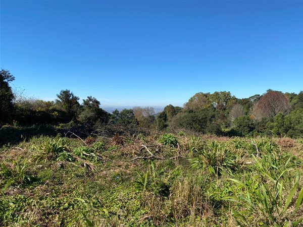 4509 m² Land available in Hilton
