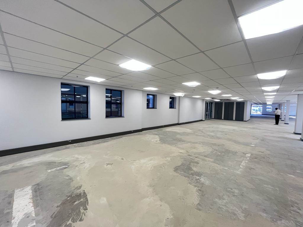 366  m² Commercial space in Waverley photo number 3
